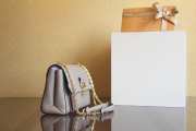 Louis Vuitton M44550 Vavin PM bag in tourterelle gray 25x17x9.5cm - 5