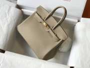 Hermes Birkin Gray/Gold 25cm - 6