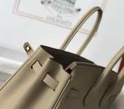 Hermes Birkin Gray/Gold 25cm - 3