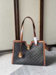 Celine Cabas 16 Bag In Triomphe Canvas And Calfskin - 1