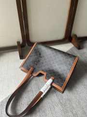 Celine Cabas 16 Bag In Triomphe Canvas And Calfskin - 2