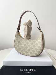 Celine Ava Bag In Triomphe Canvas And Calfskin Grege 24.5x17x9cm - 6