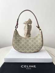 Celine Ava Bag In Triomphe Canvas And Calfskin Grege 24.5x17x9cm - 5