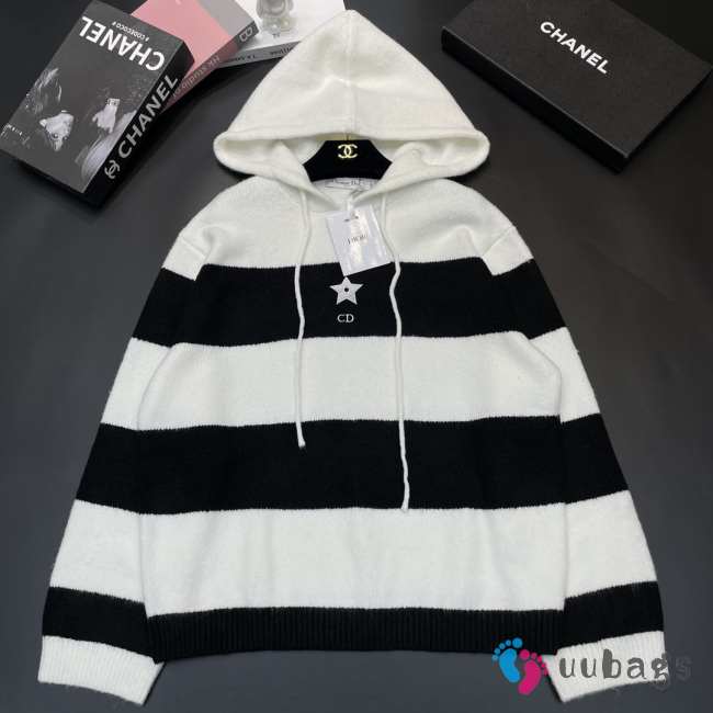 Dior Striped Knit Hoodie  - 1