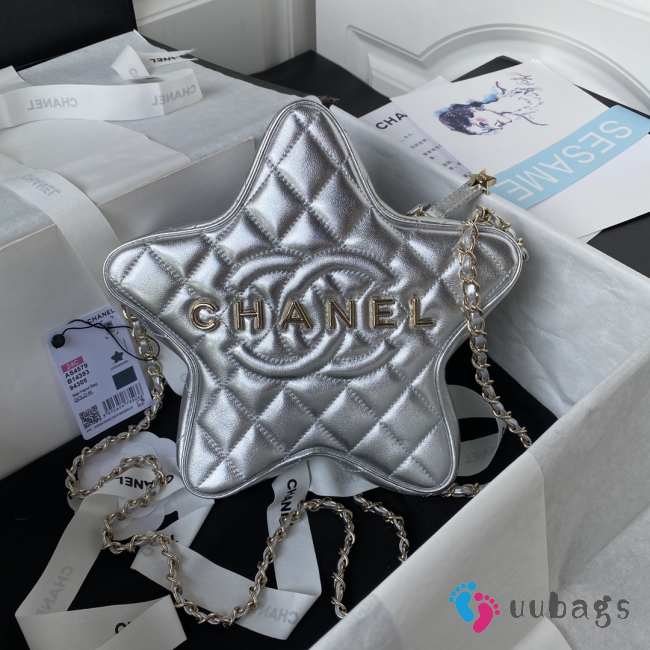 Chanel Star Silver Metallic Lambskin & Gold Metal Bag 22.5x6cm - 1