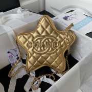 Chanel Star Gold Metallic Lambskin & Gold Metal Bag 2.5x22.5x6cm - 1