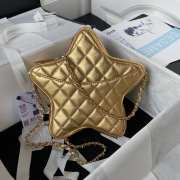 Chanel Star Gold Metallic Lambskin & Gold Metal Bag 2.5x22.5x6cm - 2