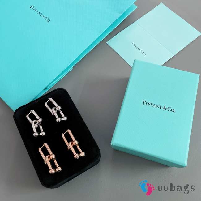 Tiffany Hardware Large Link Earrings  - 1