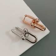 Tiffany Hardware Large Link Earrings  - 5