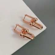 Tiffany Hardware Large Link Earrings  - 4