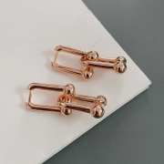 Tiffany Hardware Large Link Earrings  - 2