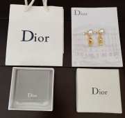 Dior Earrings E0006 - 4