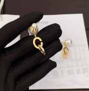 Dior Earrings E0006 - 2