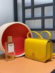 Loewe Goya yellow bag in silk calfskin 19x13.5x6cm - 4