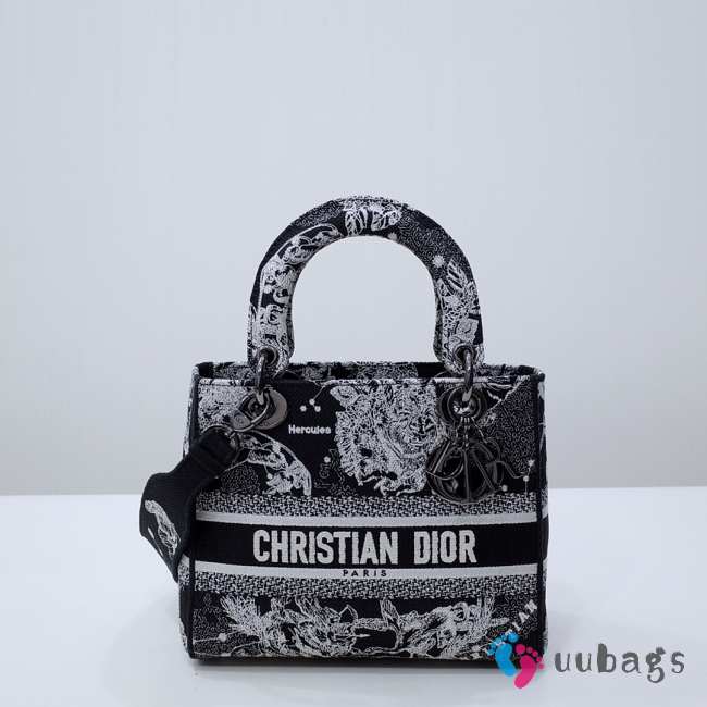 Dior Lady D-Lite Bag Black and White Plan de Paris Embroidery 24x20x11cm - 1