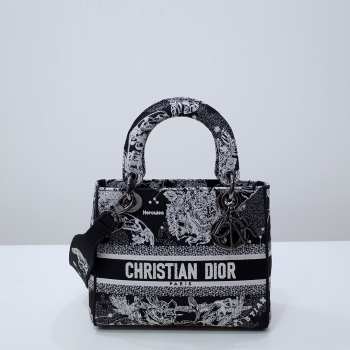 Dior Lady D-Lite Bag Black and White Plan de Paris Embroidery 24x20x11cm