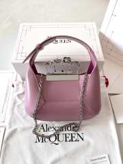 Alexander McQueen Jewelled Hobo Mini Bag in Antique Pink 12x20x8cm - 4