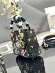 Lady Dior Art By Dorothy Iannone Bag In Black 20x17x8cm - 5