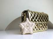 Chanel Mini Flap Bag & Star Coin Purse Gold Metal Pale metallic gold - 4