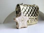 Chanel Mini Flap Bag & Star Coin Purse Gold Metal Pale metallic gold 15x20x6.5cm  - 4