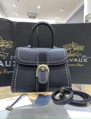 Delvaux shiny PM topstitched in Rodeo grained black calf leather 24x12x19cm - 1