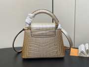 Louis Vuitton M48865 Capucines golden crocodile pattern bag 21x14x8cm - 3