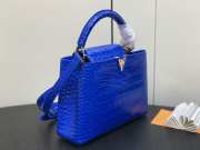 Louis Vuitton N95889 Capucines Bag with Gold Hardware In Blue Santorin 27x18x9cm - 2