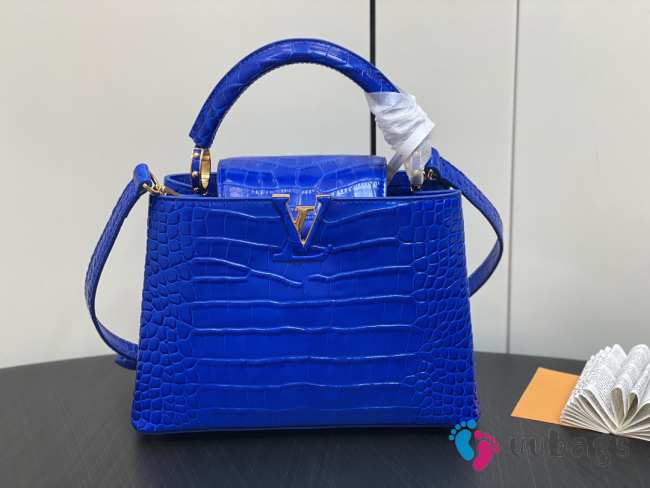 Louis Vuitton N95889 Capucines Bag with Gold Hardware In Blue Santorin 27x18x9cm - 1