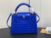 Louis Vuitton N95889 Capucines Bag with Gold Hardware In Blue Santorin 27x18x9cm - 1