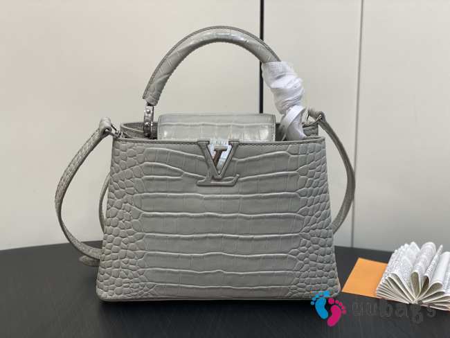 Louis Vuitton M48865 Capucines Bag with Silver Hardware In Gris Orage 27x18x9cm - 1