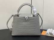 Louis Vuitton M48865 Capucines Bag with Silver Hardware In Gris Orage 27x18x9cm - 1