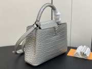 Louis Vuitton M48865 Capucines Bag with Silver Hardware In Gris Orage 27x18x9cm - 2