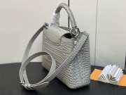 Louis Vuitton M48865 Capucines Bag with Silver Hardware In Gris Orage 27x18x9cm - 3