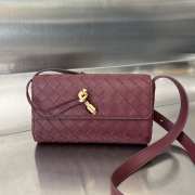 Bottega Veneta Mini Andiamo Crossbody Bag In Barolo 21.5x13.5x4.5cm - 1