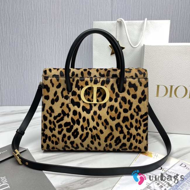 Dior Calf Saint Honoré Cover 30 Montaigne Bag 30x22.5x16cm - 1