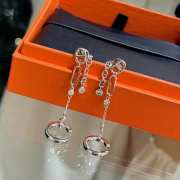 Hermes long earrings - 2