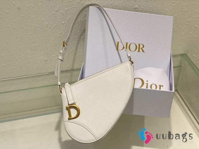 Dior Saddle Rodeo Pouch Bag Latte Goatskin 20x15x4cm - 1