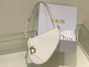 Dior Saddle Rodeo Pouch Bag Latte Goatskin 20x15x4cm - 1