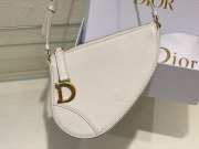 Dior Saddle Rodeo Pouch Bag Latte Goatskin 20x15x4cm - 3