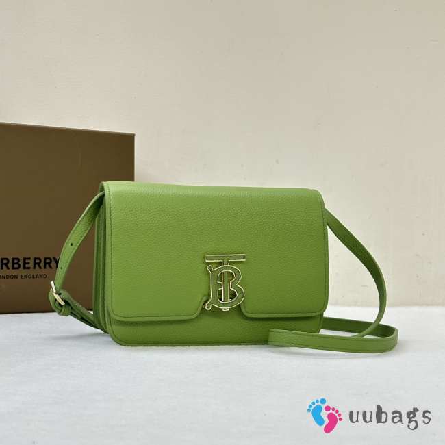 Burberry Mini TB Bag In Green 20x5.5x12.5cm - 1