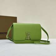 Burberry Mini TB Bag In Green 20x5.5x12.5cm - 1