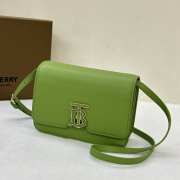 Burberry Mini TB Bag In Green 20x5.5x12.5cm - 6