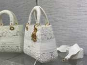 Dior D-lite Bag With Embroidered In White 24x20x11cm - 2