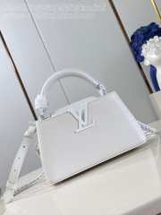 Louis Vuitton M23956 Capucines East-West Mini Bag 22x12x8cm - 1