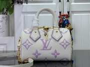 Louis Vuitton M46906 Speedy Bandoulière Bag In Purple 20.5x13.5x12cm - 1