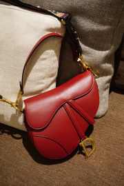 Uubags | Dior Smooth Calfskin Mini Saddle Bag Red 25.5x20x6.5cm - 1