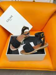 Uubags | Celine Lympia Flat Strap Sandals Raffia and Calfskin Black/Brown - 5