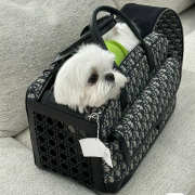 Uubags | Dior Hit the Road Pet Carrier Bag 40x25x20cm - 2