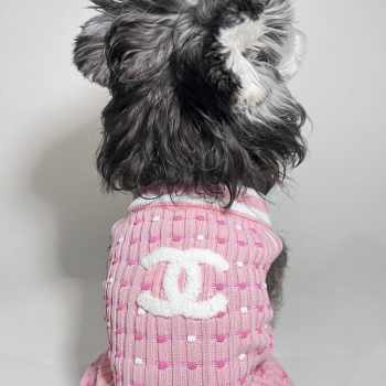 Uubags | Pet Chanel pink sweater 