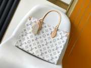 Uubags | Louis Vuitton M24708 OnTheGo MM Multicolor Grey 35x27x14cm - 6